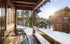 Nice Home In Rauland With House A Mountain View